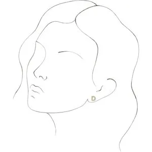 WB Choice Jewelry Earrings 14K Yellow Single Initial D Earring86800120PSTWBC WB Choice Jewelry Earrings 14K Yellow Single Initial D Earring86800120PSTWBC