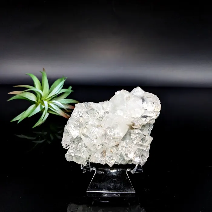 Diamond Apophyllite 29 Cluster LV7077 Bliss Crystals Charm Necklaces