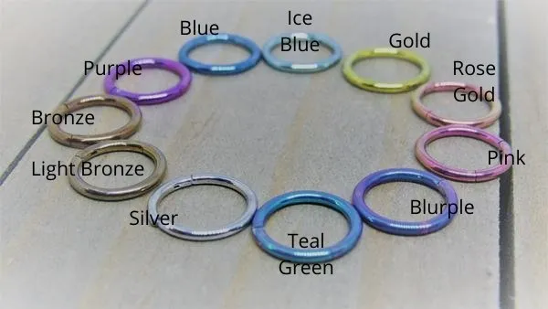 Rings SirenBodyJewelry Small Diameter 16g Hinged Segment Ring Body Piercing Click Shut Hoop