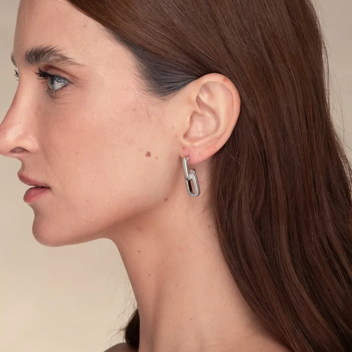 Alexis Interlocking Earrings Camile Stone Earrings