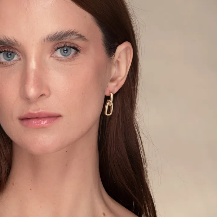 Alexis Interlocking Earrings Camile Stone Earrings