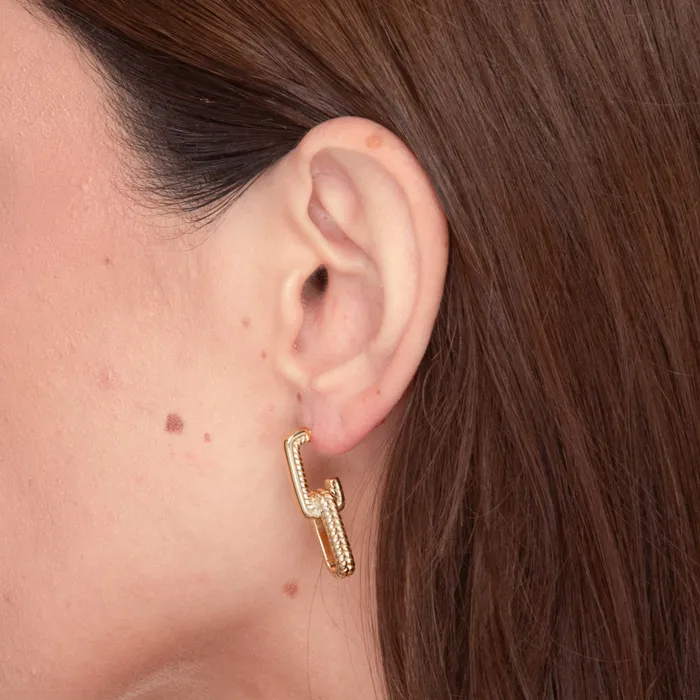 Alexis Interlocking Earrings Camile Stone Earrings