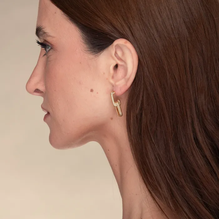 Alexis Interlocking Earrings Camile Stone Earrings