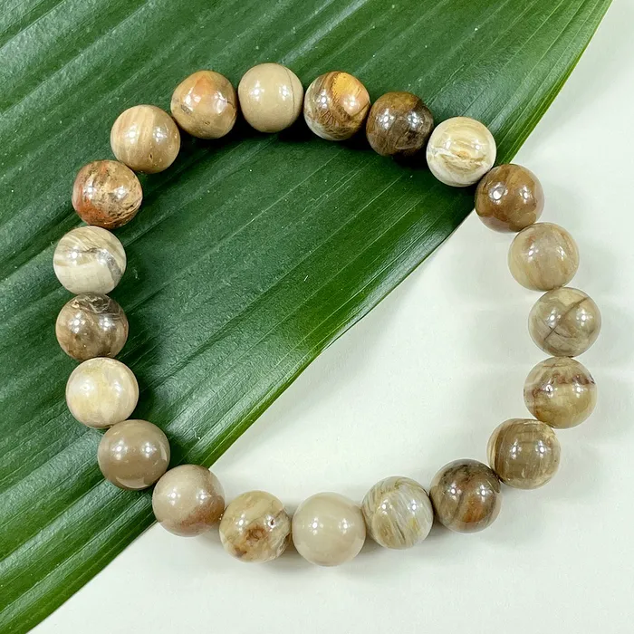 Lily Rose Jewelry Bracelets Petrified Wood Ancient Wisdom Earthly Love Premium Collection 10mm Stretch Bracelet Lily Rose Jewelry Bracelets Petrified Wood Ancient Wisdom Earthly Love Premium Collection 10mm Stretch Bracelet