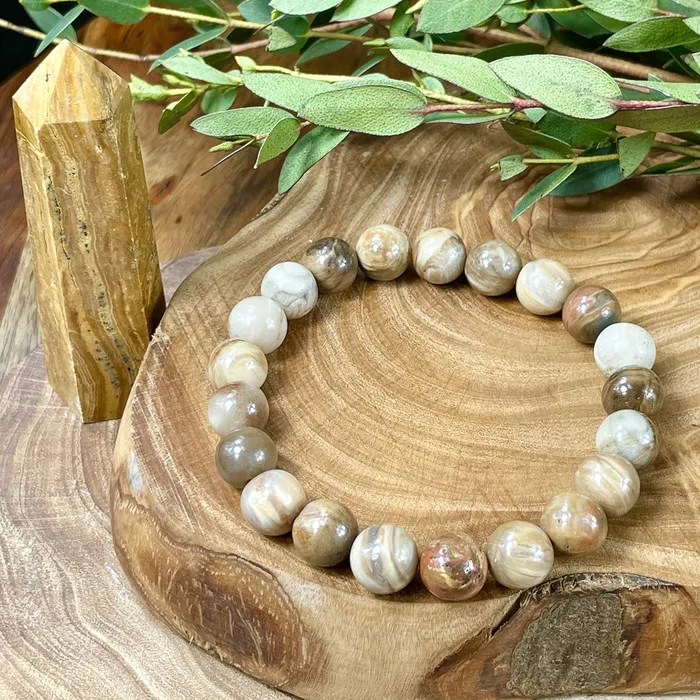 Lily Rose Jewelry Bracelets Petrified Wood Ancient Wisdom Earthly Love Premium Collection 10mm Stretch Bracelet