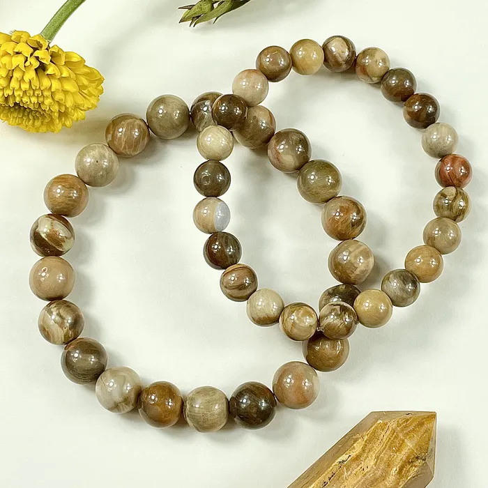 Lily Rose Jewelry Bracelets Petrified Wood Ancient Wisdom Earthly Love Premium Collection 10mm Stretch Bracelet
