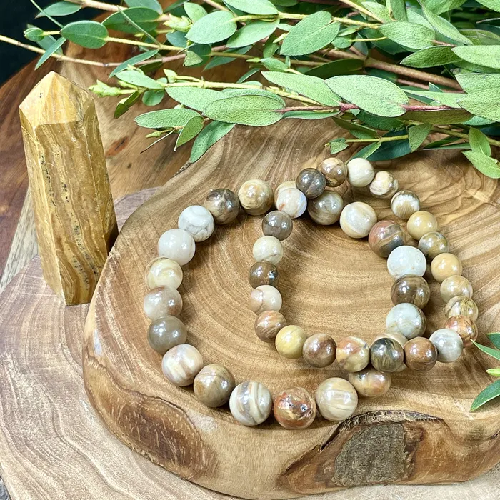 Lily Rose Jewelry Bracelets Petrified Wood Ancient Wisdom Earthly Love Premium Collection 10mm Stretch Bracelet