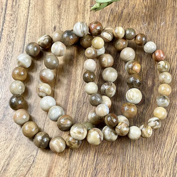 Lily Rose Jewelry Bracelets Petrified Wood Ancient Wisdom Earthly Love Premium Collection 10mm Stretch Bracelet