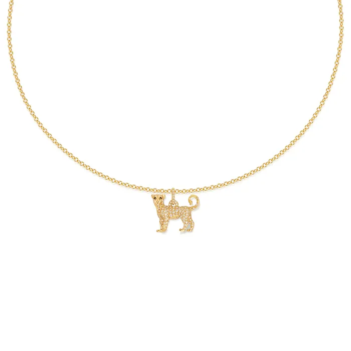 Necklaces Necklaces Lionne Pav necklace