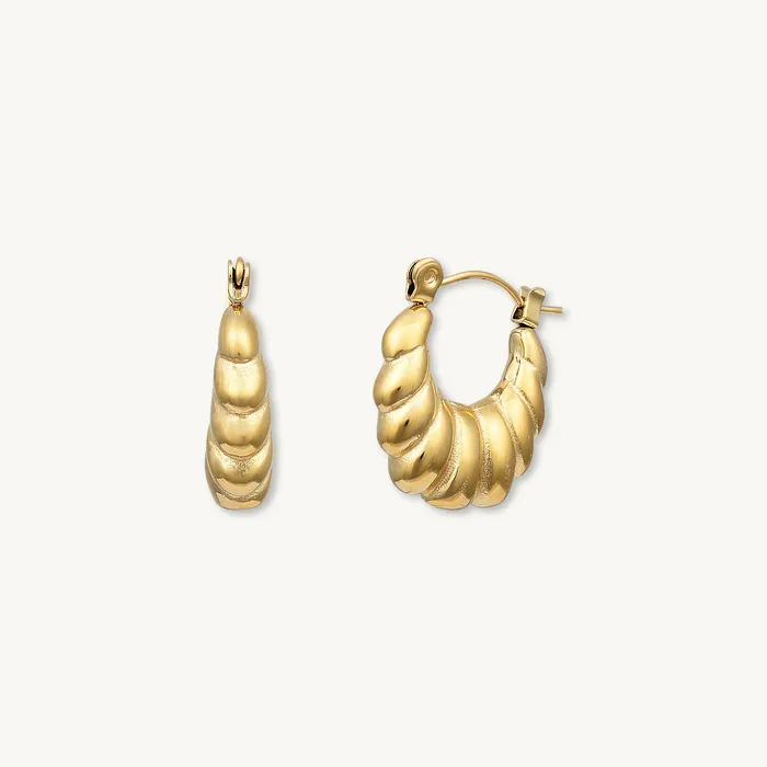 Valentina Hoop Earrings Camile Stone Earrings