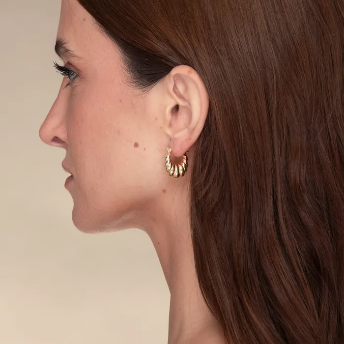 Valentina Hoop Earrings Camile Stone Earrings