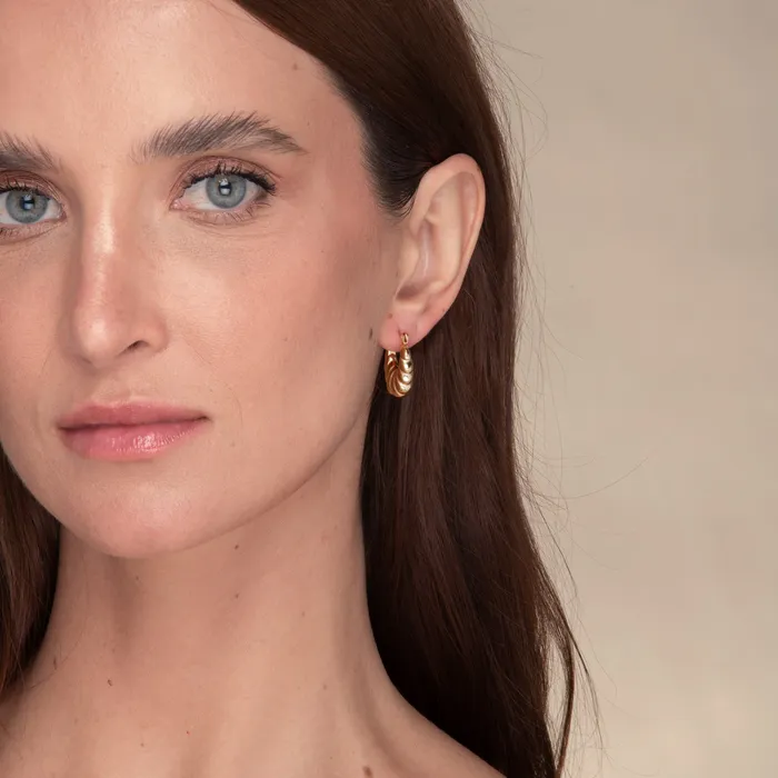 Valentina Hoop Earrings Camile Stone Earrings