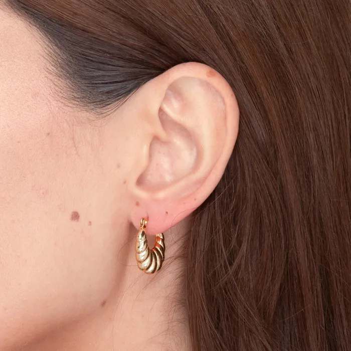 Valentina Hoop Earrings Camile Stone Earrings