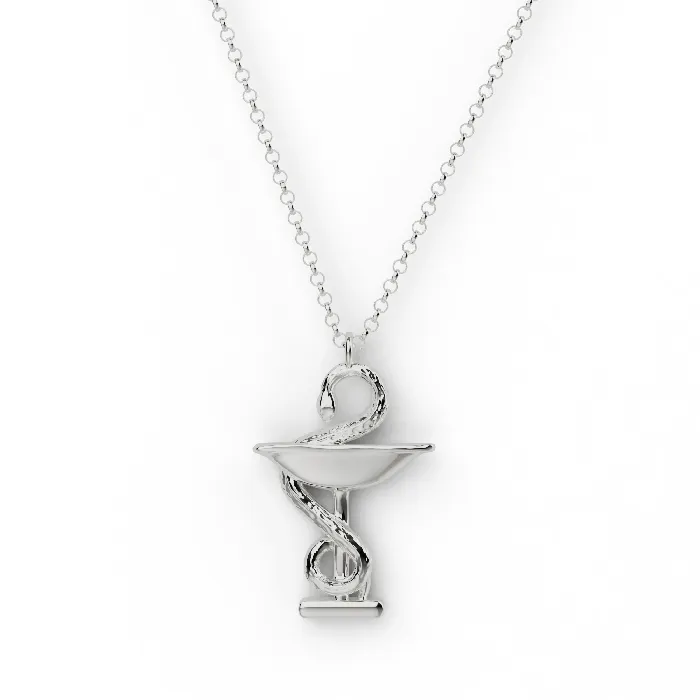 bowl of Hygieia necklace silver sciencejewelry1824 Necklaces