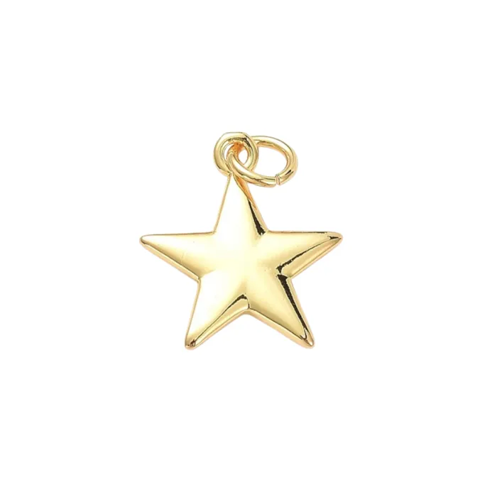 Charm Necklaces Gold Star charm pau jewelry