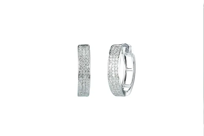 Earrings Crown Jewels Coin 14 ctw Diamond Hoop Earrings