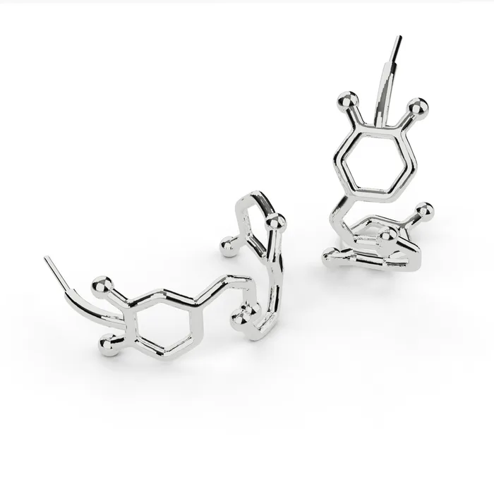 Earrings dopamine serotonin earring hoops silver sciencejewelry1824