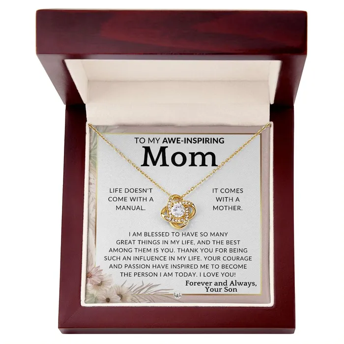 Gift for Mom From Son Im Blessed To Mother From Son Beautiful Womens Pendant Necklace Great For Mothers Day Christmas or Her Birthday ShineOn Fulfillment Necklaces