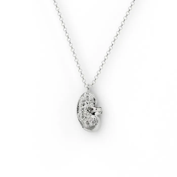 kidney necklace silver sciencejewelry1824 Necklaces