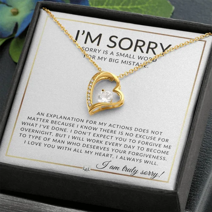 Necklaces ShineOn Fulfillment I Am Sorry Apology Gift For Her Womens Pendant Necklace Heartfelt Apology Message