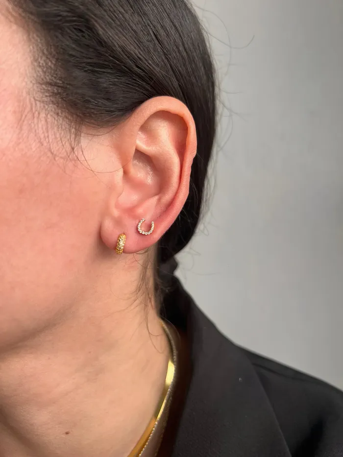 pau jewelry Earrings Horseshoe pave stud earrings