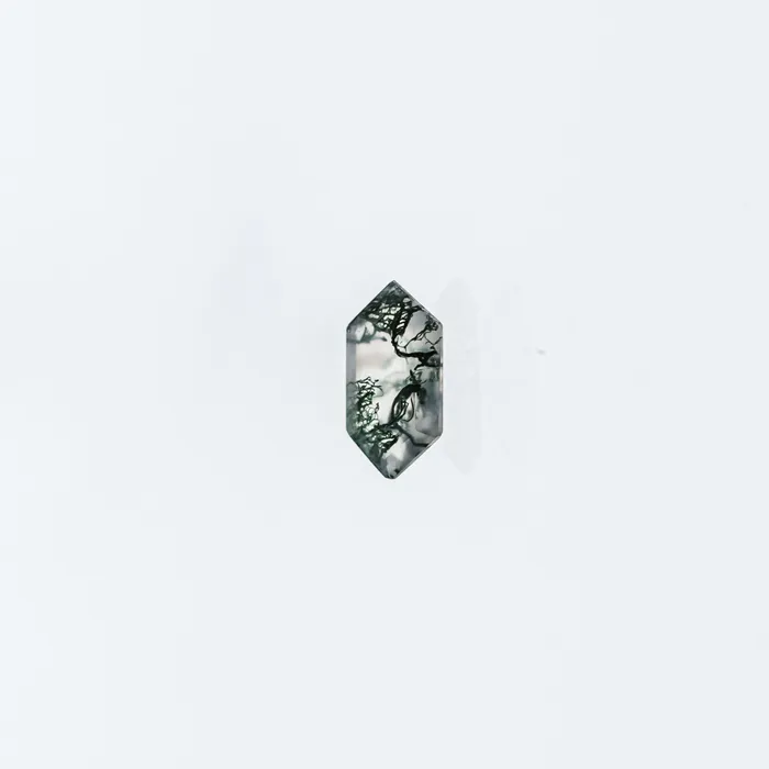 Rings VENVS The Leda Platinum White Size 95 Stone MOS23 Rainforest Ring Box Custom Engraving 0 Rings VENVS The Leda Platinum White Size 95 Stone MOS23 Rainforest Ring Box Custom Engraving 0