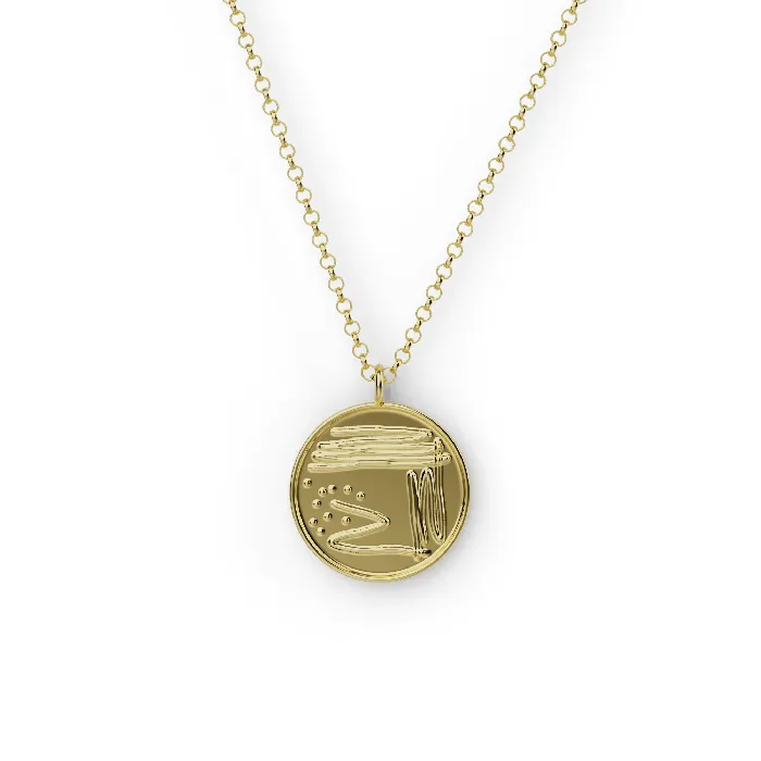 sciencejewelry1824 Necklaces petri dish necklace gold vermeil