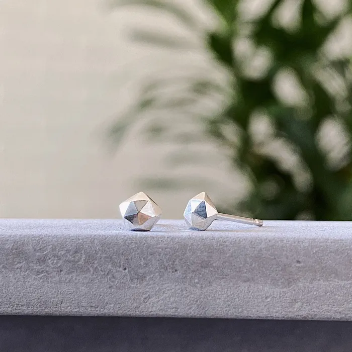 Silver Micro Fragment Stud Earrings Corey Egan Earrings