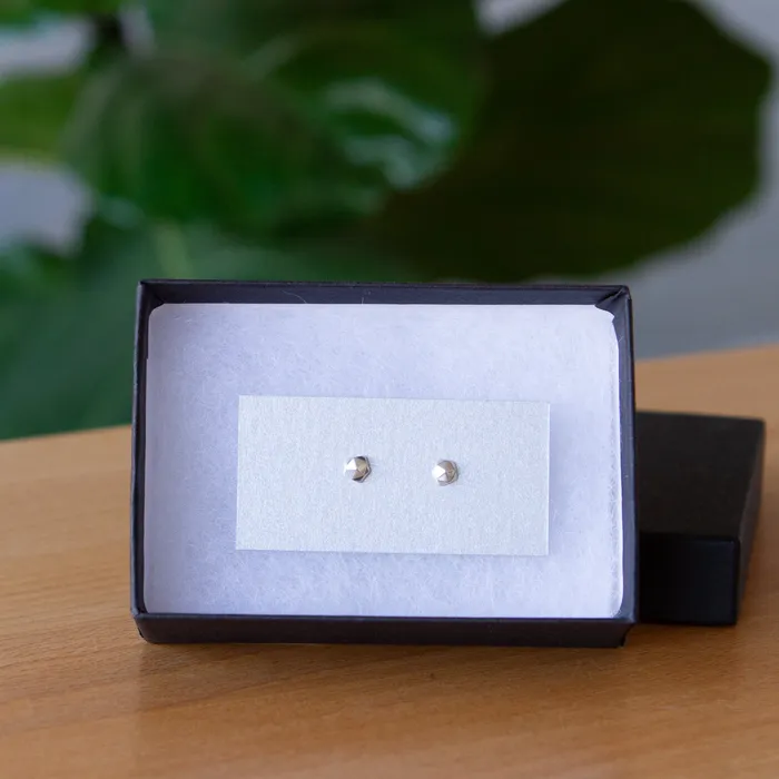 Silver Micro Fragment Stud Earrings Corey Egan Earrings